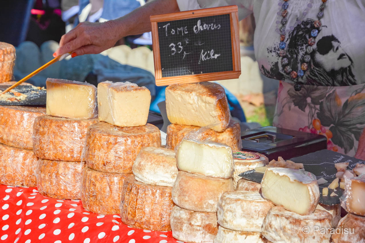 Korsika Markt korsischer Käse