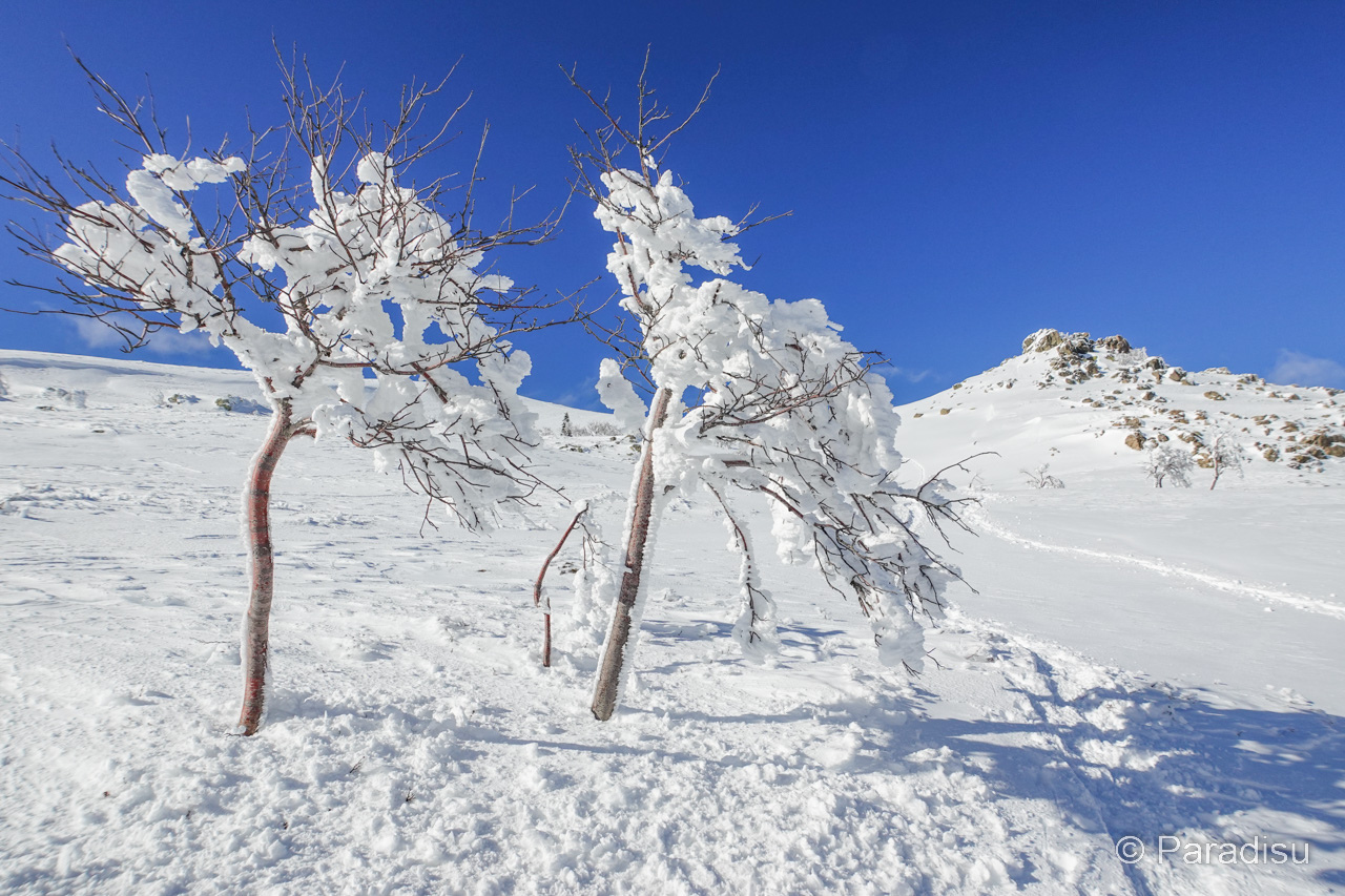 Schneeschuhwandern Val d'Ese