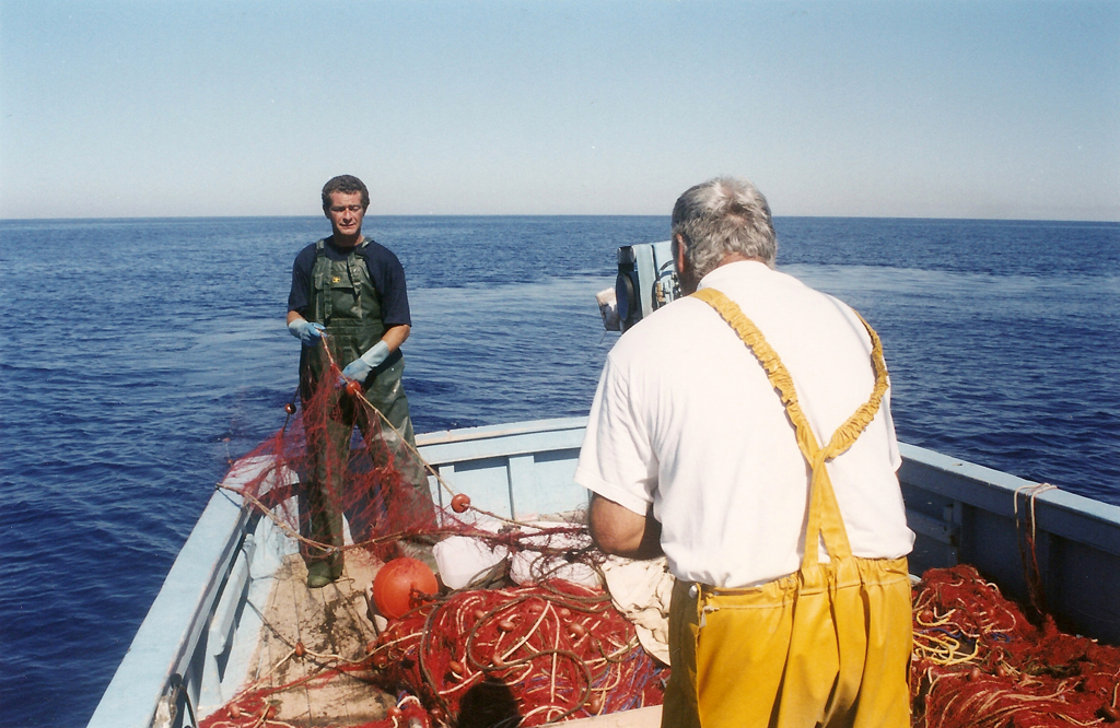 Pêche à la Langouste à Centuri - Langustenfischerei in Centuri